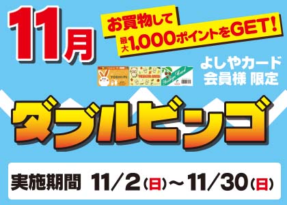 11月ダブルビンゴ
