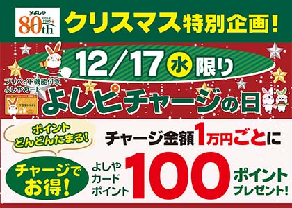 よしピチャージの日