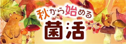 秋から始める菌活